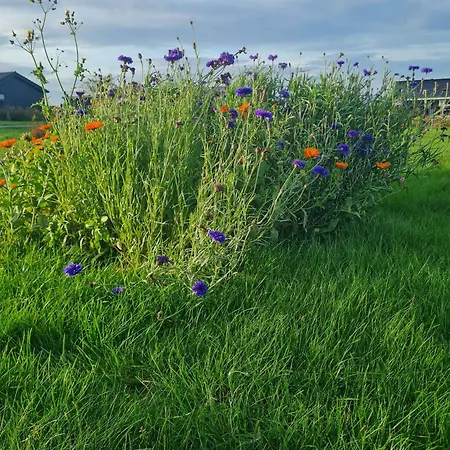 Cozy On Funens North Coast * Bogense