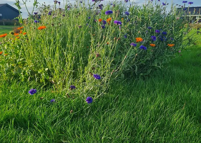 Cozy On Funens North Coast * Bogense